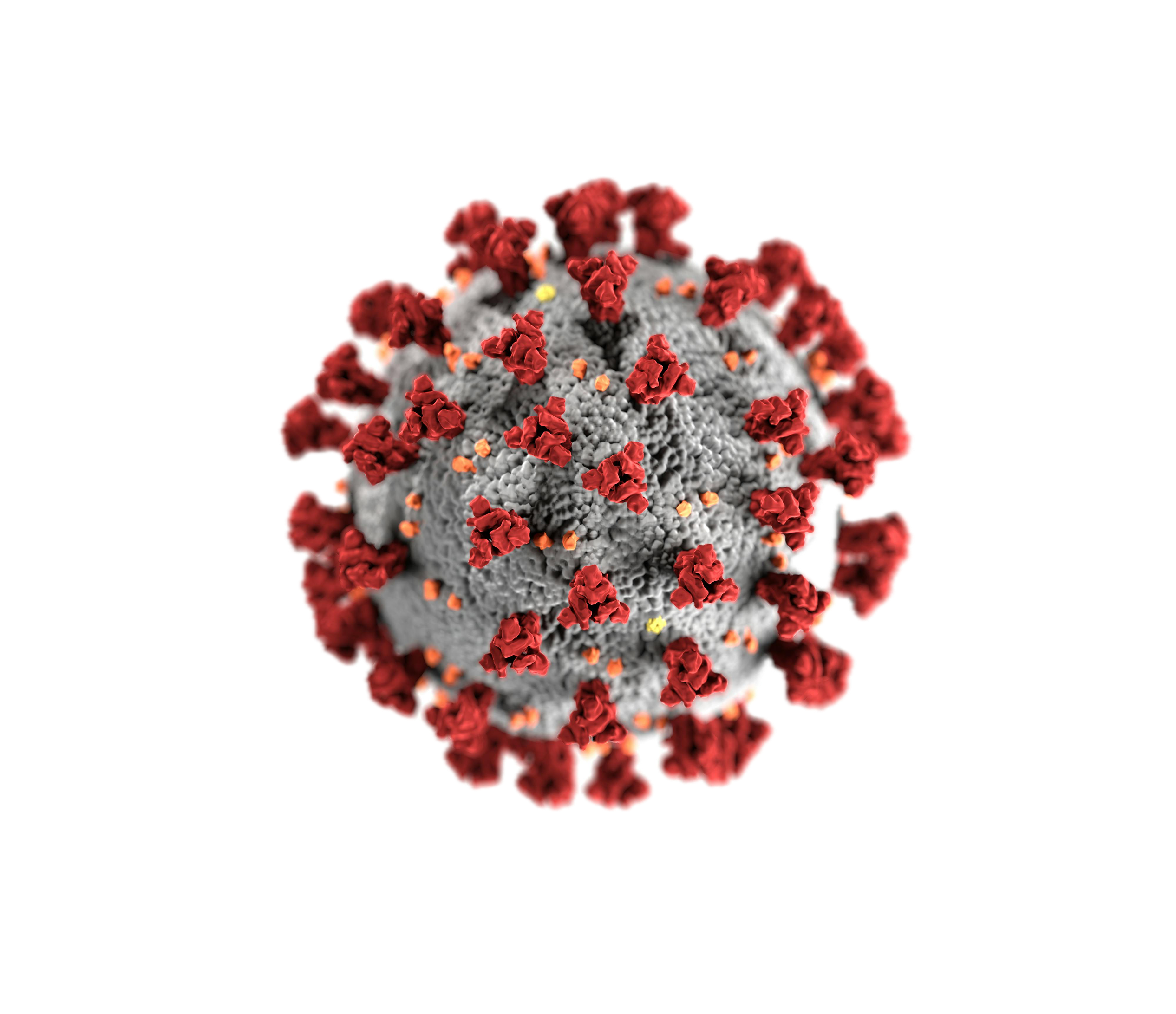 This is an image of a virus